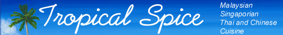 Tropical Spice, 1441 Commercial Dr, Vancouver BC - logo